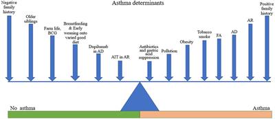 Pre-asthma: a useful concept for prevention and disease-modification? A EUFOREA paper. Part 1—allergic asthma